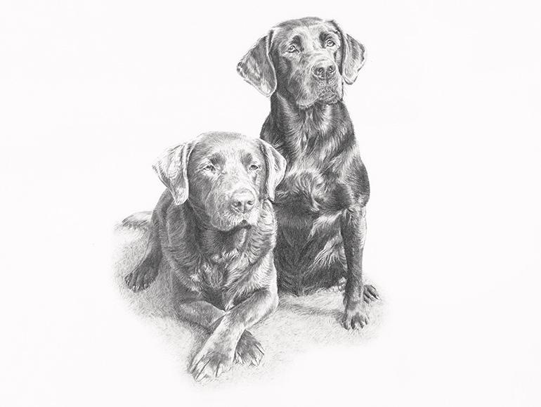 Double pet portrait Double pet portrait