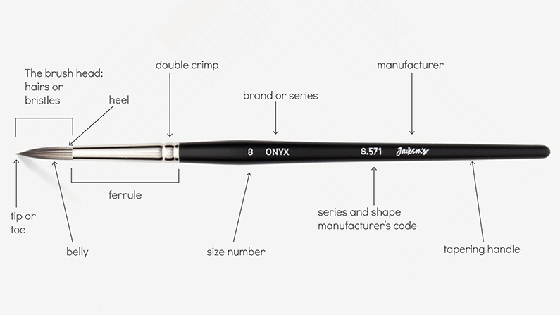 Paintbrush parts diagram